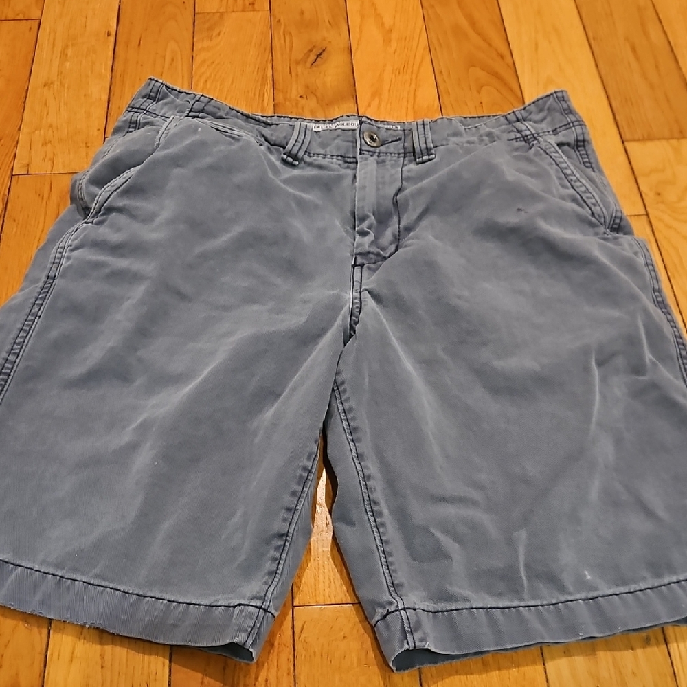 American Eagle Outfitters Men's Blue Flat Front Shorts